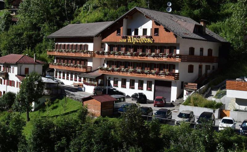 Hotel Alpenrose 阿莱盖 外观 照片