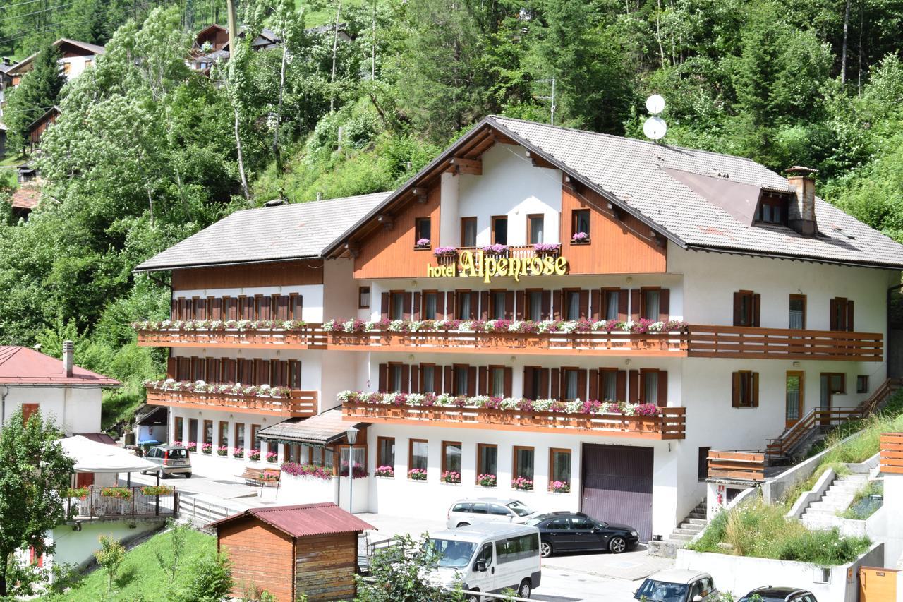 Hotel Alpenrose 阿莱盖 外观 照片