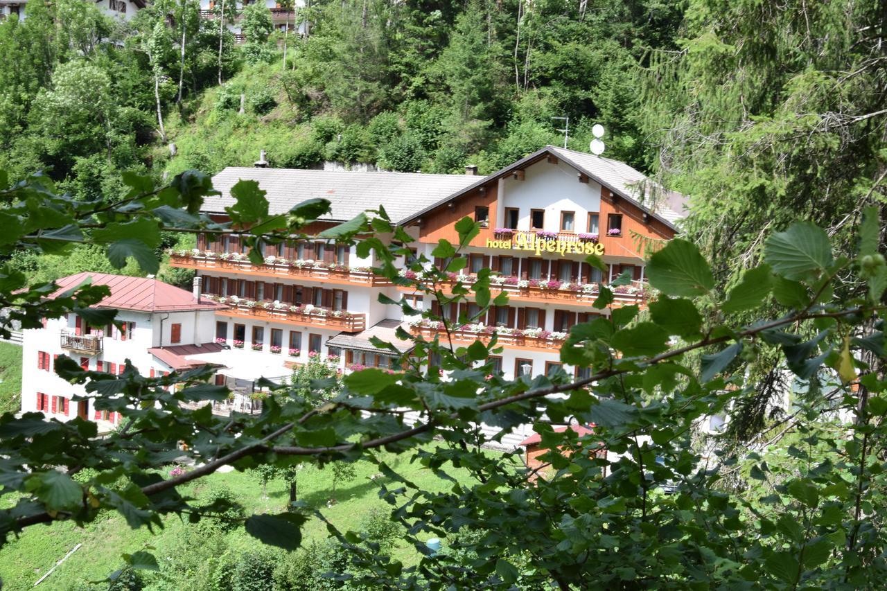 Hotel Alpenrose 阿莱盖 外观 照片